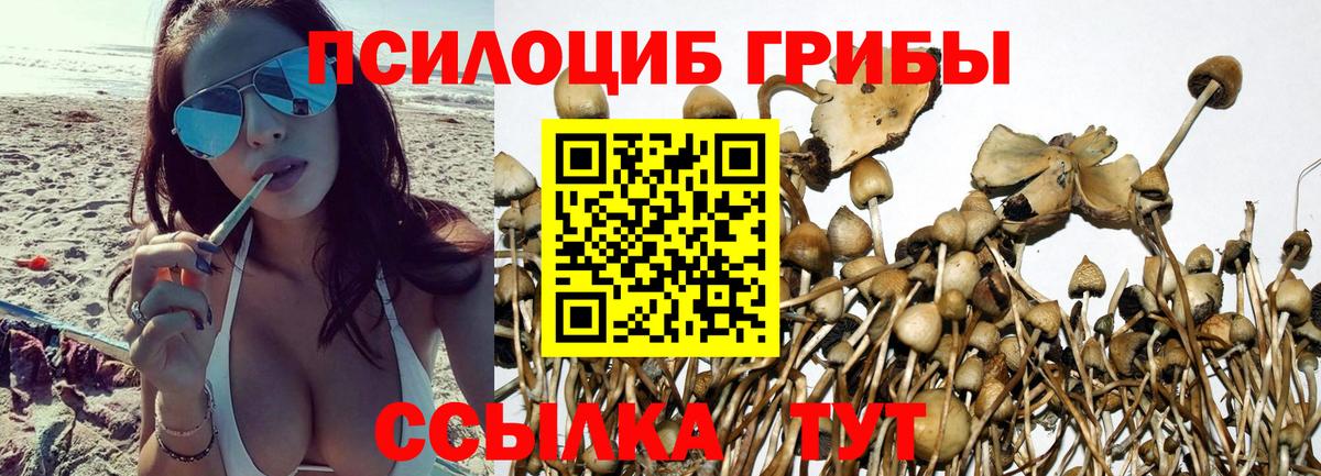 Псилоцибиновые грибы ЛСД  Галлюциногенные грибы Cubensis  Казань  Вход с VPN 