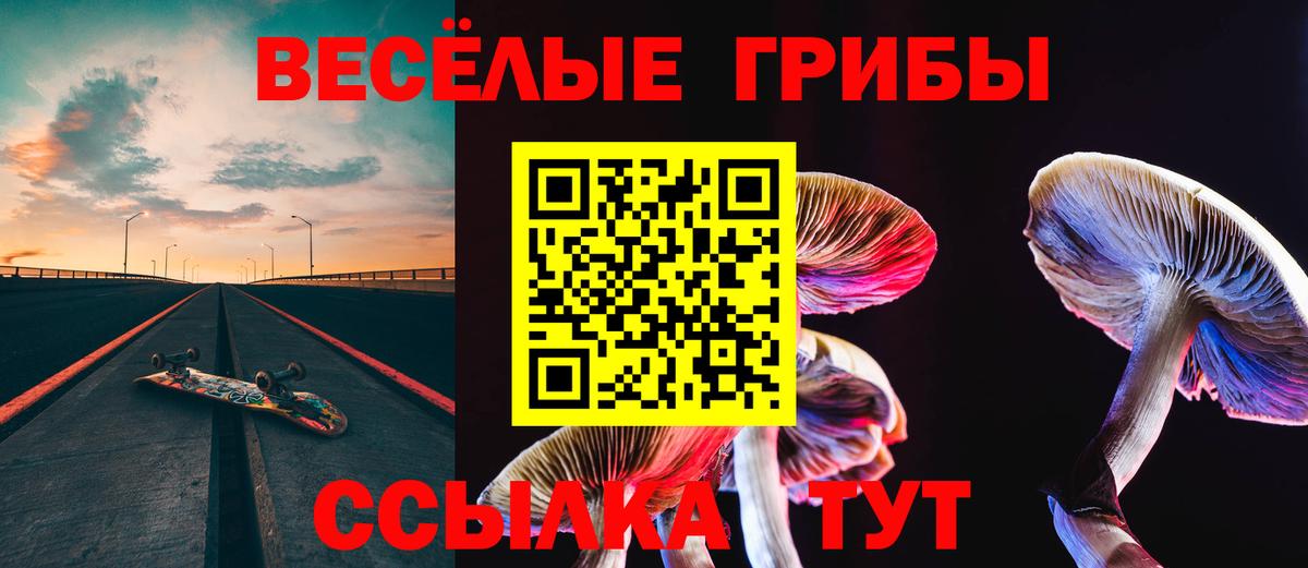 Галлюциногенные грибы мухоморы Казань